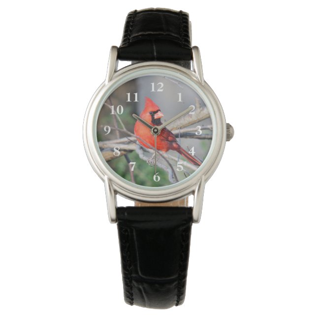 Reloj De Pulsera Cardinal Pose (Anverso)