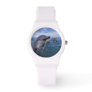 Reloj De Pulsera Caribeño, nariz de botella