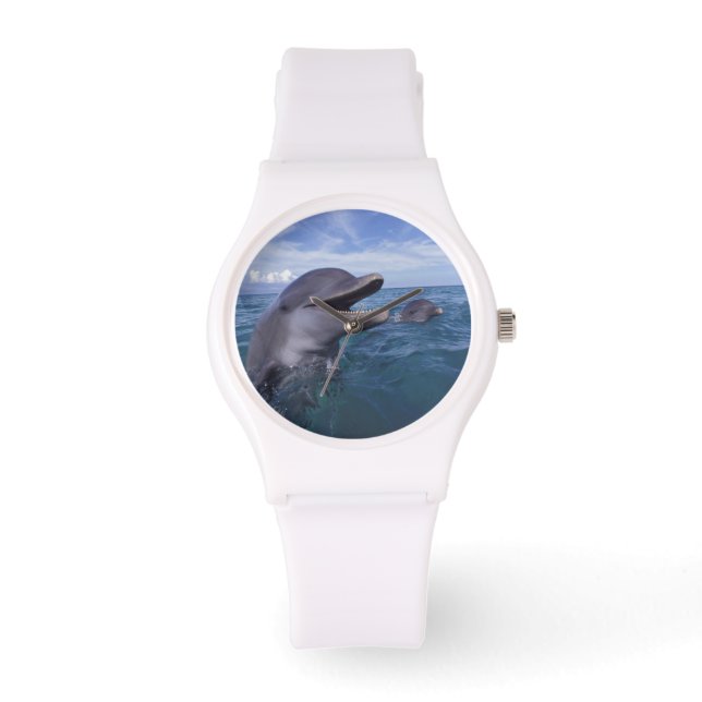 Reloj De Pulsera Caribeño, nariz de botella (Anverso)