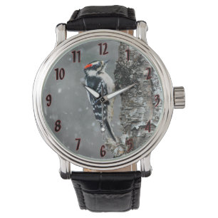 Reloj De Pulsera Carpintero Cabeciblanco en Nieve - Fotografía Orig