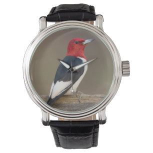 Reloj De Pulsera Carpintero de cabeza roja en cerca