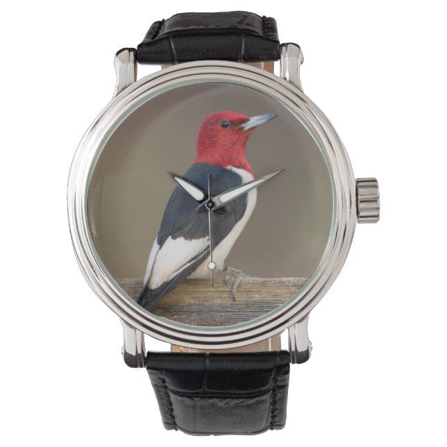 Reloj De Pulsera Carpintero de cabeza roja en cerca (Anverso)