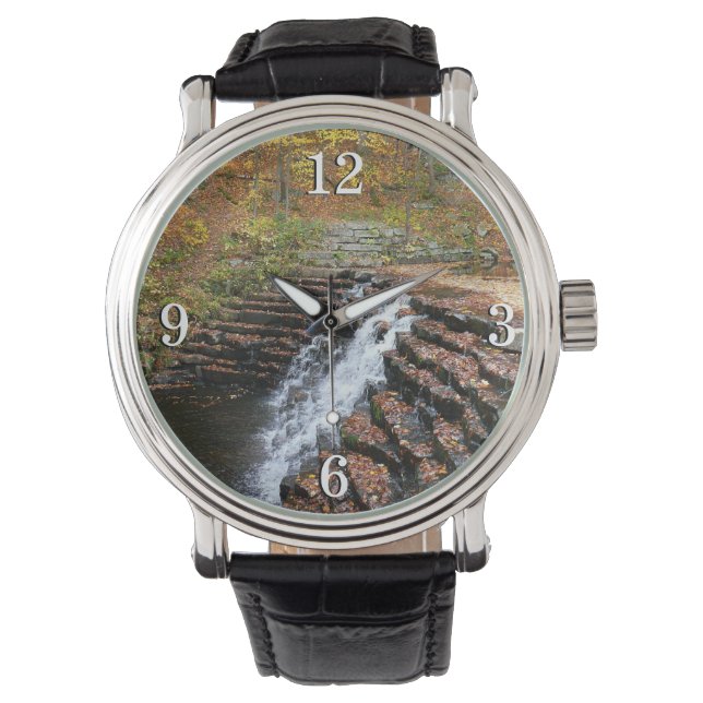 Reloj De Pulsera Cascada en el Parque Estatal Laurel Hill (Anverso)