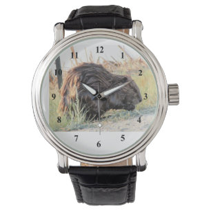 Reloj De Pulsera Castor