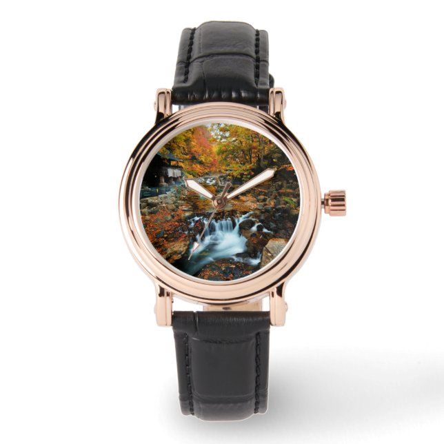 Reloj De Pulsera Cataratas | Takaragawa Onsen Osenkaku, Japón (Anverso)