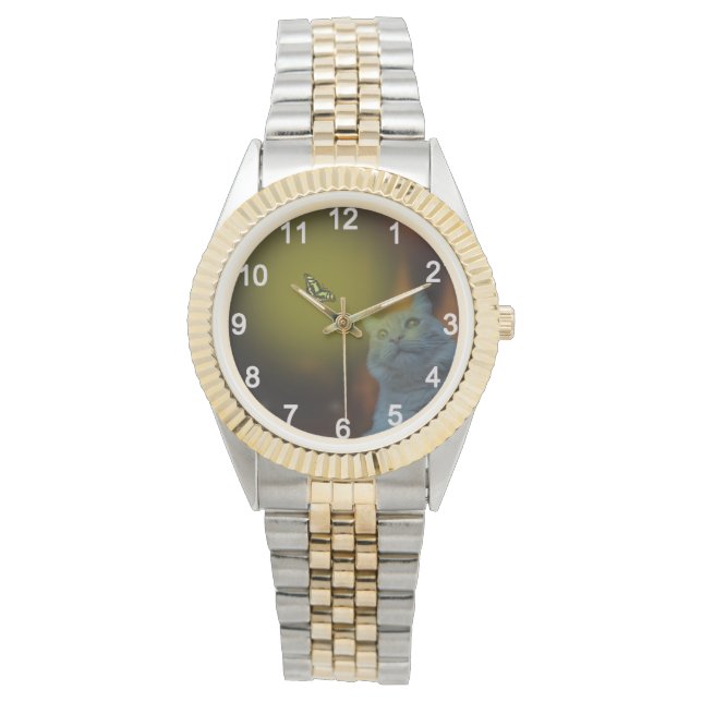 Reloj De Pulsera Cautivado por la belleza: gato mesmerizado por mar (Anverso)