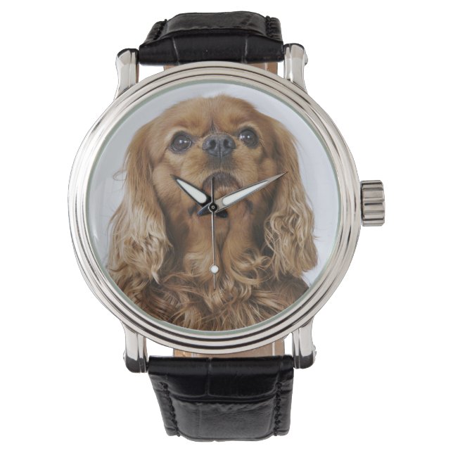 Reloj De Pulsera Cavalier King Charles Spaniel mirando hacia arriba (Anverso)
