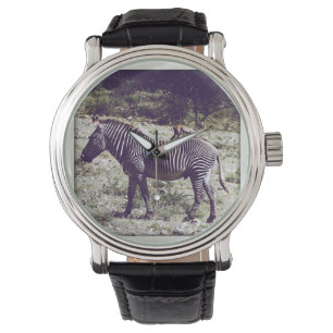 Reloj De Pulsera Cebra en Kenia