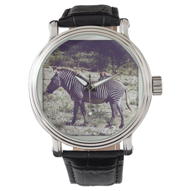 Reloj De Pulsera Cebra en Kenia (Anverso)
