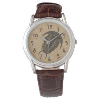 Reloj De Pulsera Ceraurus Fossil Trilobite