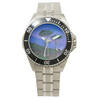 Reloj De Pulsera Cerca de la zona desmilitarizada de Corea del Sur