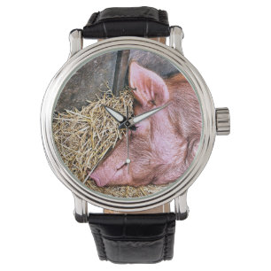 RELOJ DE PULSERA CERDO CUTIDO