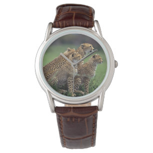 Reloj De Pulsera Cheetah de Mens Classic Watch/Wildlife