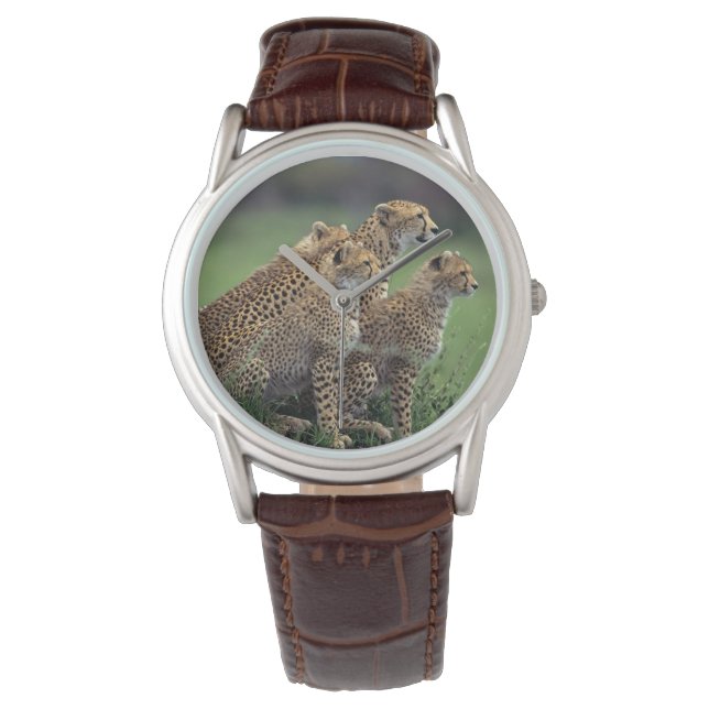 Reloj De Pulsera Cheetah de Mens Classic Watch/Wildlife (Anverso)