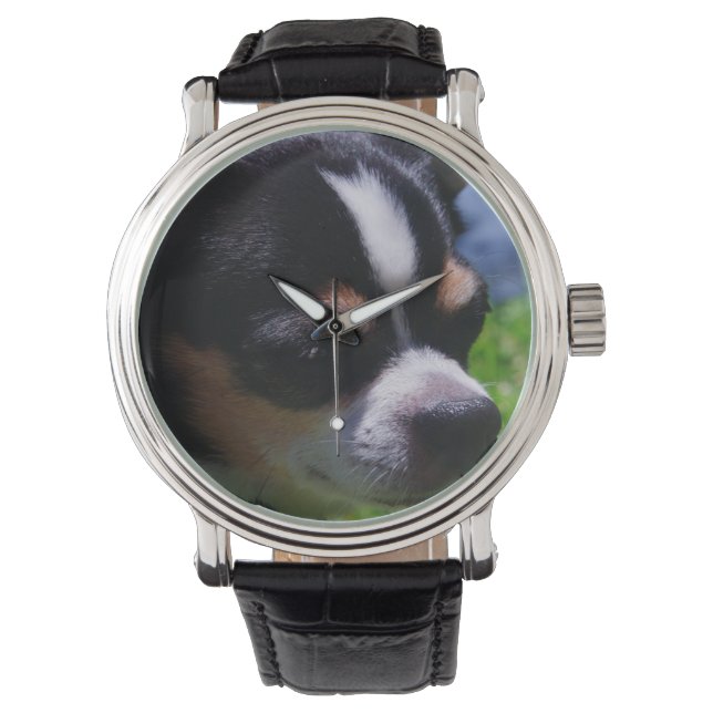 Reloj De Pulsera Chihuahua Pup (Anverso)