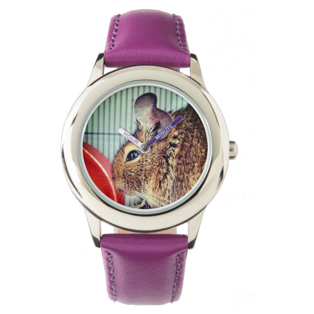 Reloj De Pulsera Chinchilla (Anverso)