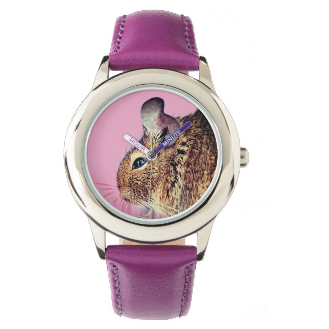 Reloj De Pulsera Chinchilla (Anverso)