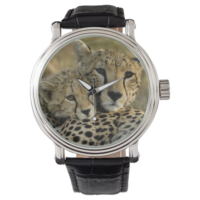 Reloj De Pulsera Chita, Acinonyx jubatus, con cachorro en Masai 2 (Anverso)