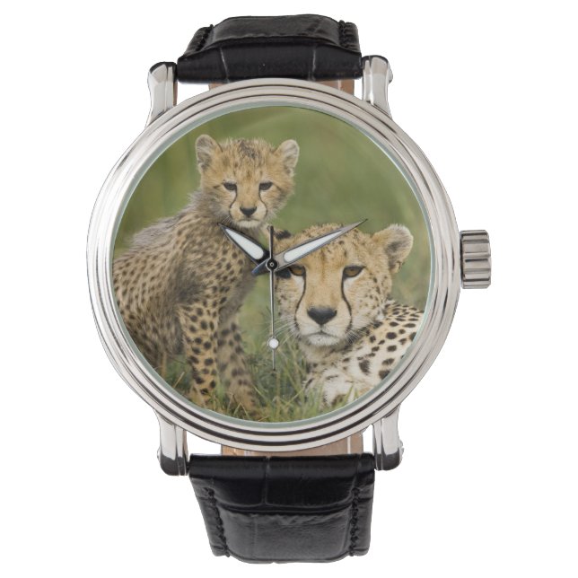 Reloj De Pulsera Chita, Acinonyx jubatus, con Cub (Anverso)
