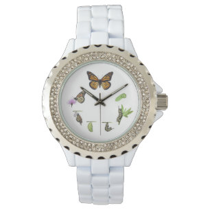 Reloj De Pulsera Ciclo de vida de la mariposa monarca