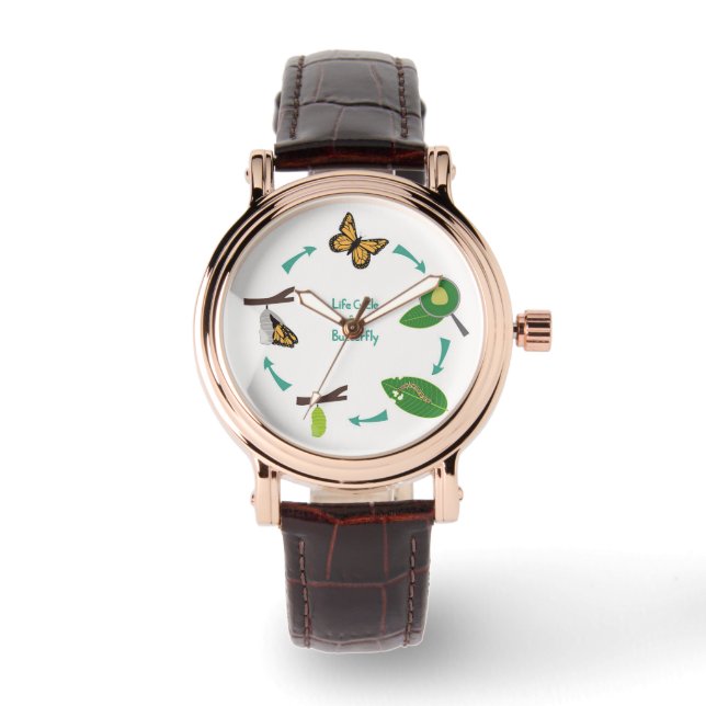 Reloj De Pulsera Ciclo de vida de la mariposa monarca (Anverso)
