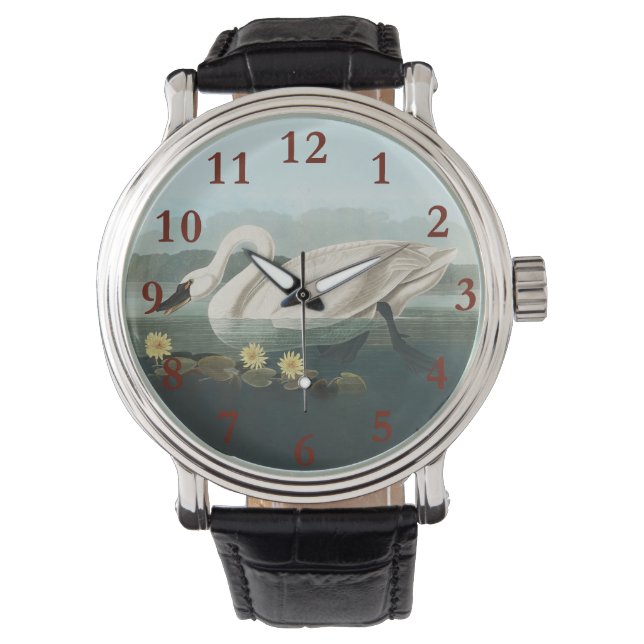 Reloj De Pulsera cisnes de agua blanca de cisne audubon (Anverso)