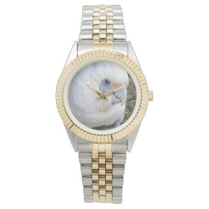 Reloj De Pulsera Cockatoo blanco,