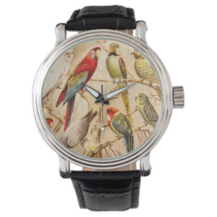 Reloj De Pulsera Cockatoo Conure Parakeet Cockatiel
