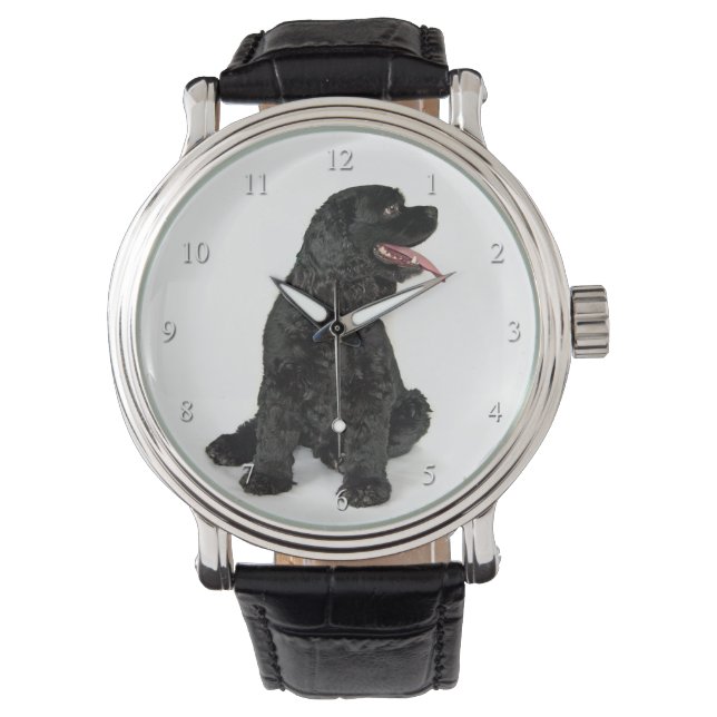 Reloj De Pulsera Cocker Spaniel Watch (Anverso)
