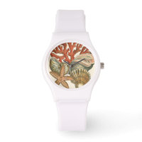 Colección Sealife