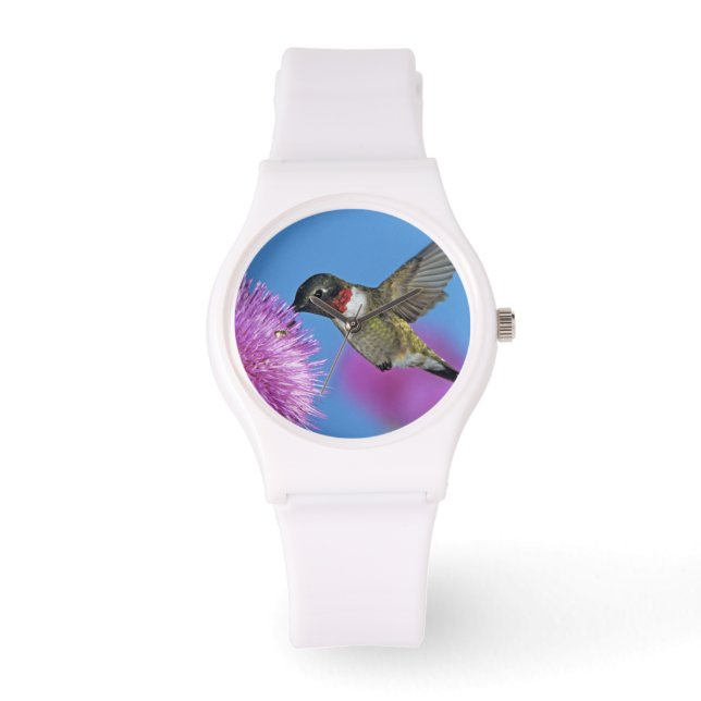 Reloj De Pulsera Colibrí de garganta rubí (Anverso)