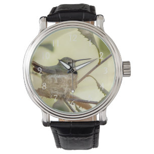 Reloj De Pulsera Colibrí hembra en su nido
