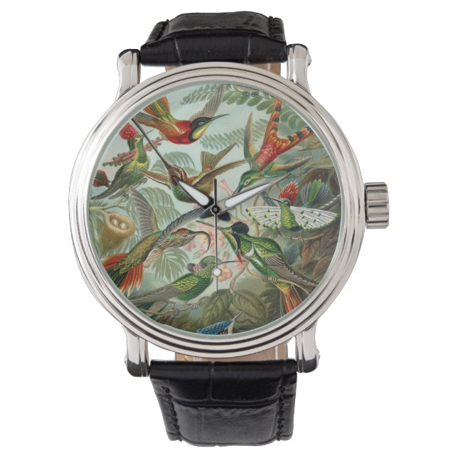 Reloj De Pulsera Colibríes de Ernst Haeckel, aves vitícolas (Anverso)