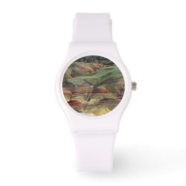 Reloj De Pulsera Colinas Pintadas, Cama de Fósiles de John Day, Mit (Anverso)