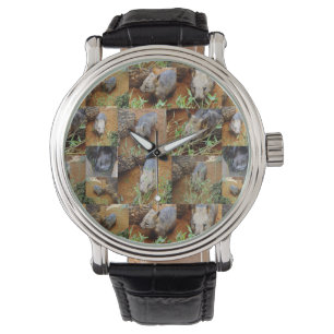 Reloj De Pulsera Collage de fotos Wombat,