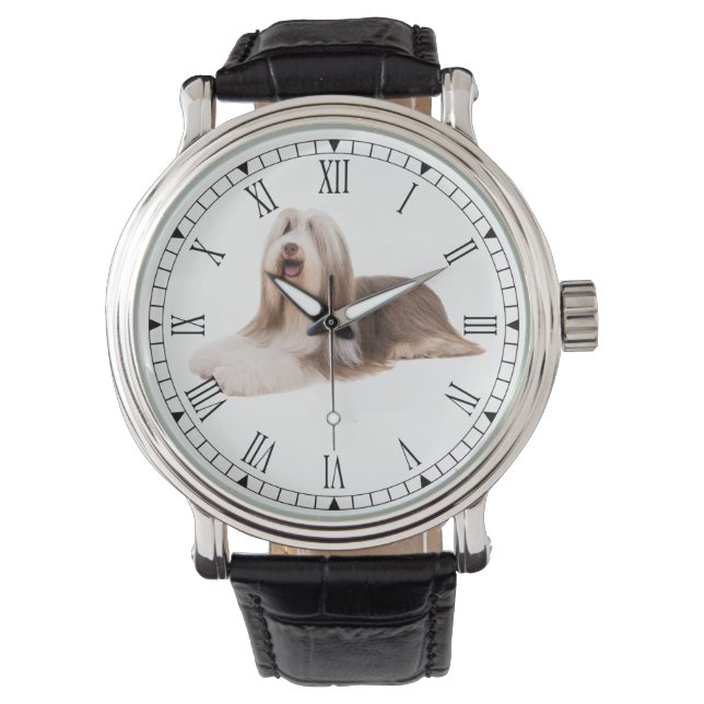 Reloj De Pulsera Collie con barba (Anverso)