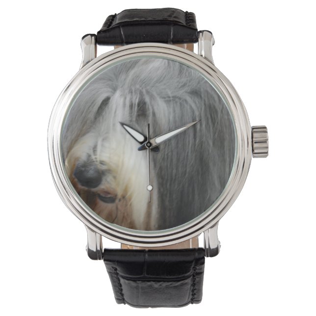 Reloj De Pulsera Collie con barba y barba (Anverso)