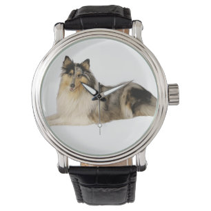 Reloj De Pulsera colocación áspera del collie del merle azul