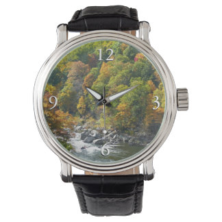 Reloj De Pulsera Color de la caída en el Parque Estatal Ohiopyle