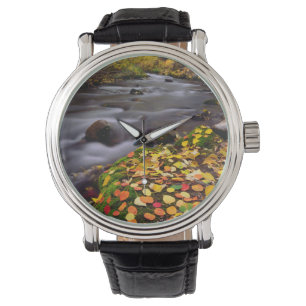 Reloj De Pulsera Colores de otoño a lo largo de McGee Creek