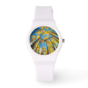 Reloj De Pulsera Colores de otoño de árboles de Aspen 2