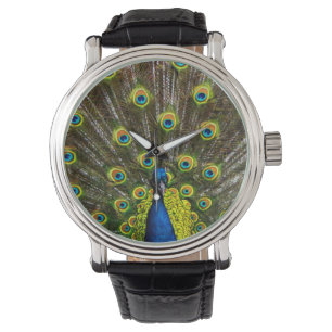 Reloj De Pulsera Colorful peacock