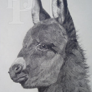 Reloj De Pulsera colorful scenic lifelike picture of cute donkey