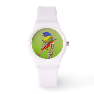 Reloj De Pulsera Colorín Siete Colores (Passerina ciris) Macho Posa
