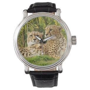 Reloj De Pulsera Compañeros de guepardo - descansando en lo salvaje
