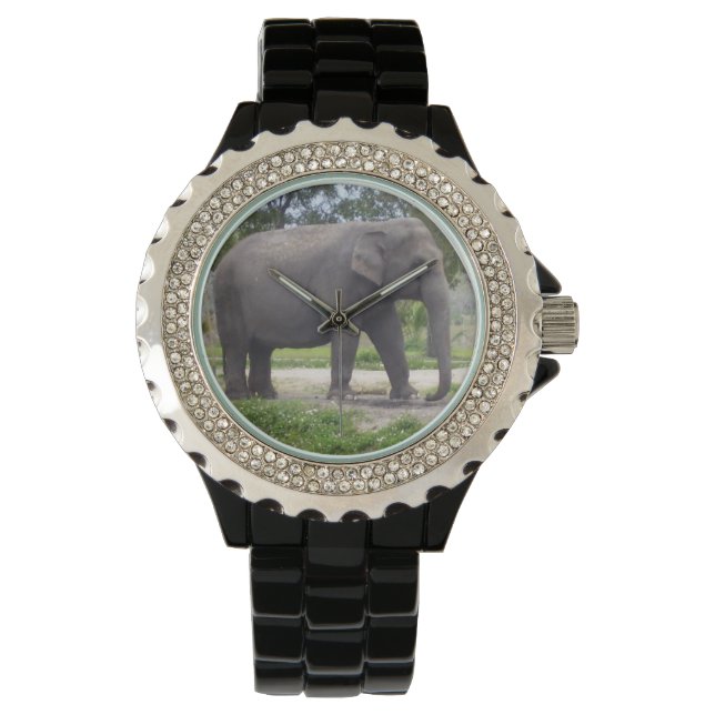Reloj de pulsera con elefante en un sendero tranqu (Anverso)