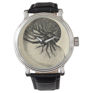 Reloj De Pulsera Concha blanco y negro Shell del vintage