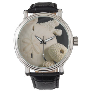 Reloj De Pulsera Conchas Blancas y Dólar de Arena