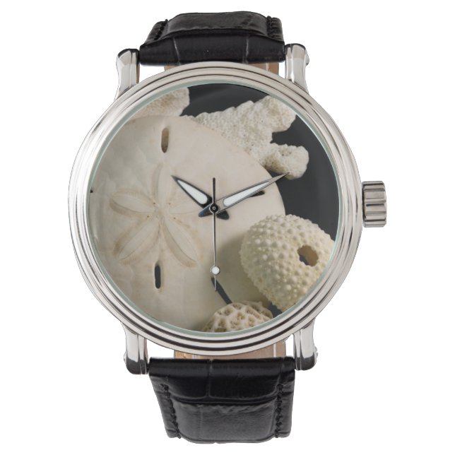 Reloj De Pulsera Conchas Blancas y Dólar de Arena (Anverso)
