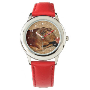 Reloj De Pulsera Conejillo de Indias de la mirada de Corkboard